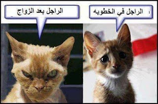 صور واتس اب مضحكة