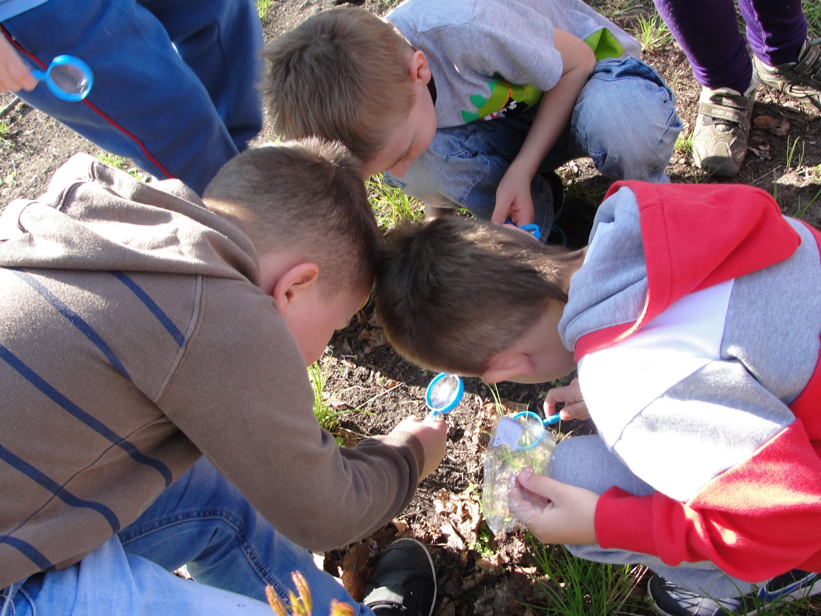 Edukacja Wczesnoszkolna: Lekcje przyrody w terenie
