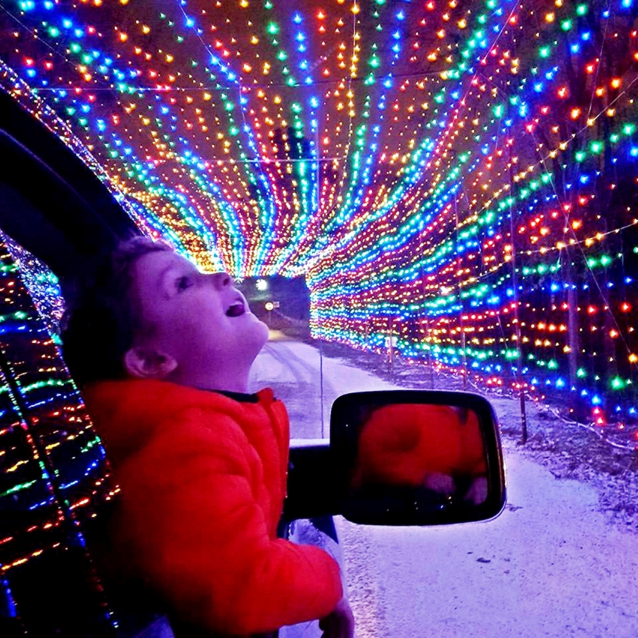 One Tank Trips Lighting up the "festive" season