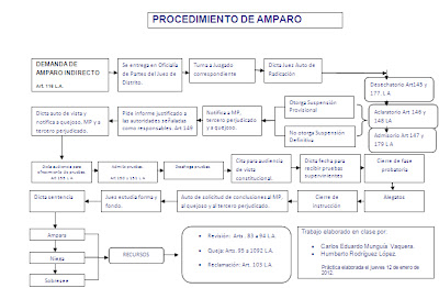 Forense de amparo UVM: PROCEDIMIENTO DE AMPARO INDIRECTO