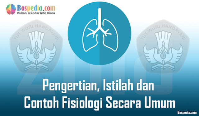 Pengertian Istilah Dan Contoh Fisiologi Secara Umum Bospedia
