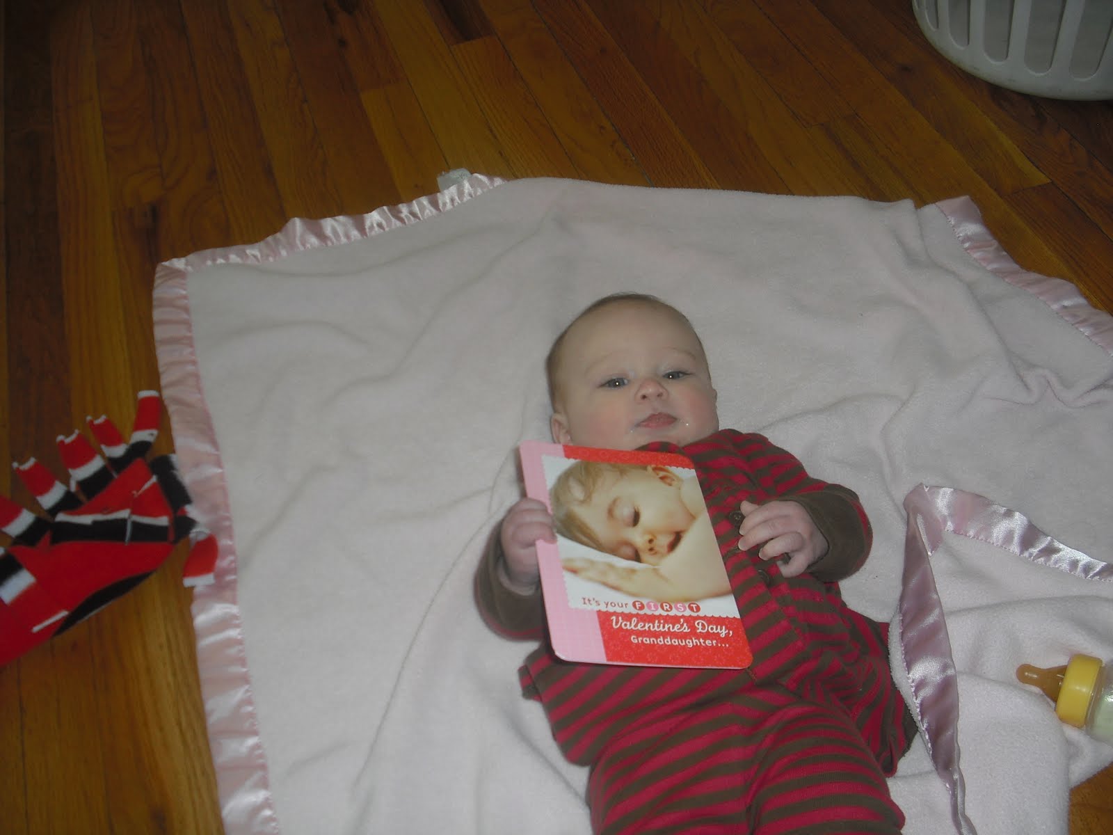 Growing a Family: Happy Valentine's Day!