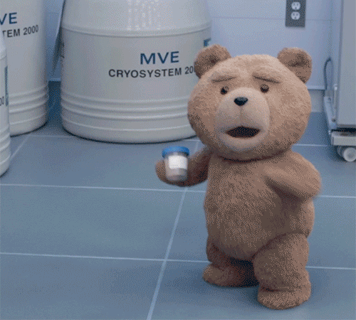Тедди свимс слушать. Медведь Тед gif. Мишка Тед третий лишний. Танцующий медведь Тед. Тед третий лишний гиф.