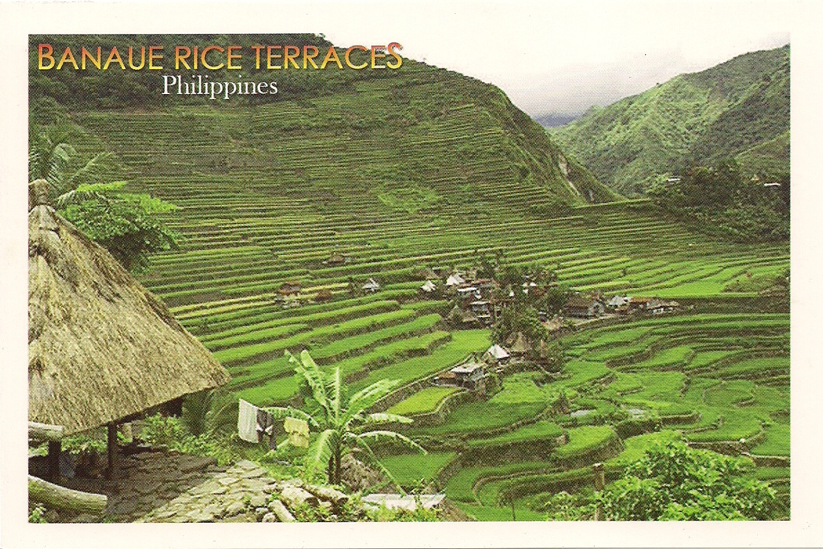 MY UNESCO WHS POSTCARDS COLLECTION PHILIPPINES Rice Terraces of the