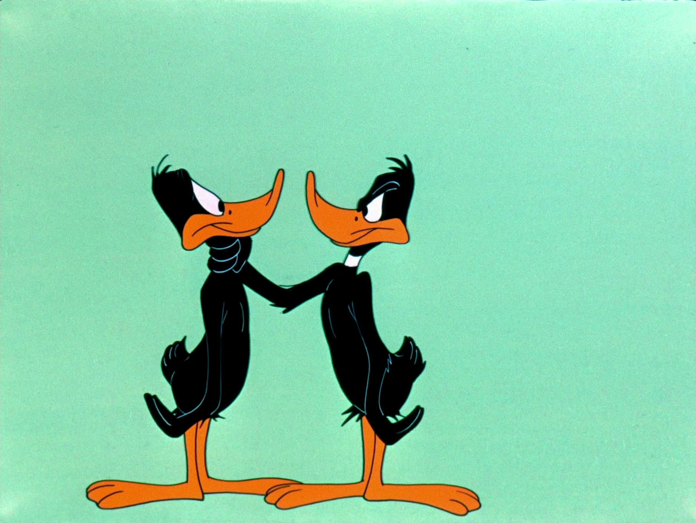 Daffy Duck. benten. 