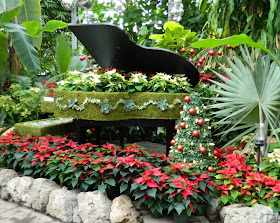 Allan Gardens Conservatory Christmas Flower Show 2013 piano by garden muses: a Toronto gardening blog