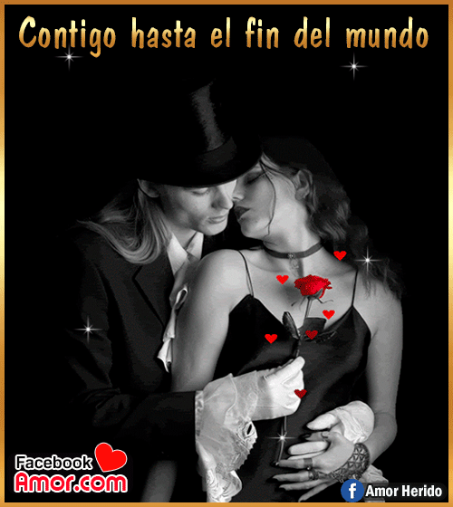 rosa roja con frases de amor rosa roja con frases de amor