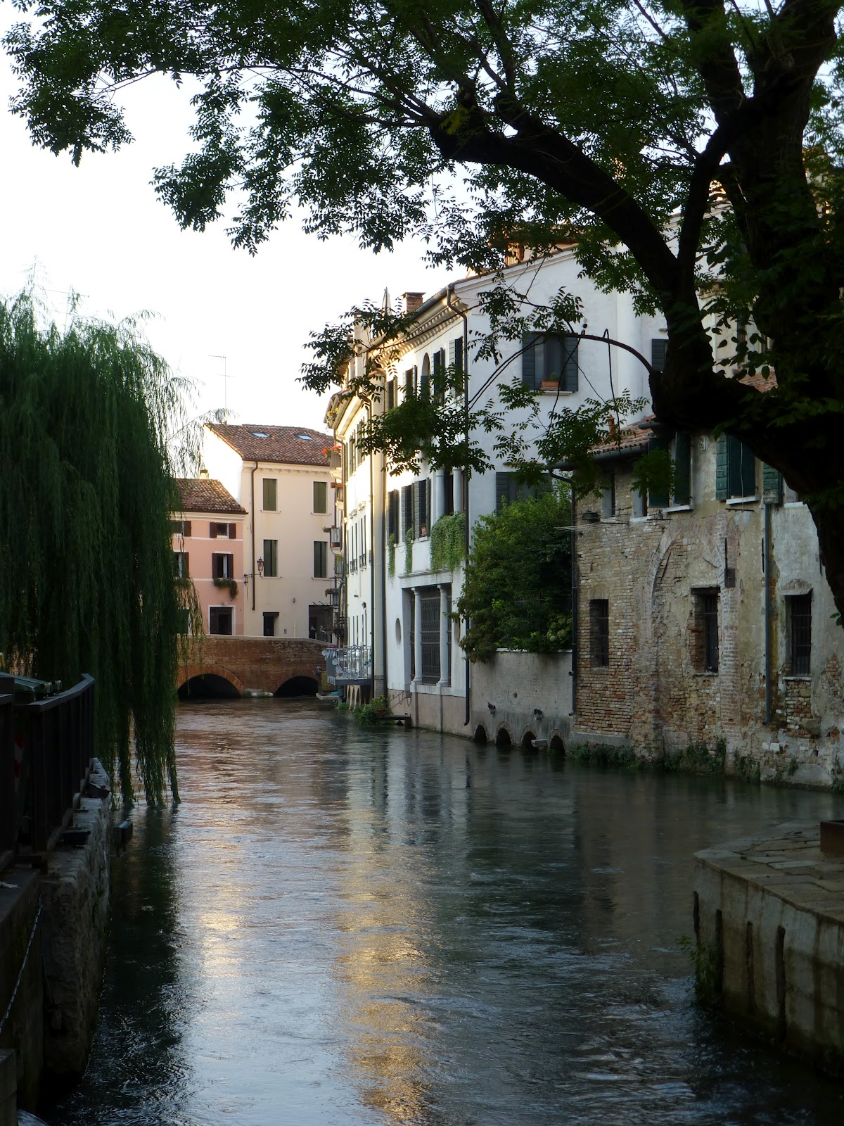 Fagins' Travels: Arriving in Treviso, Italy September 6, 2012