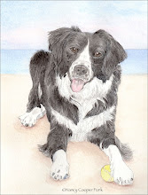 Pet Portrait Info and Samples