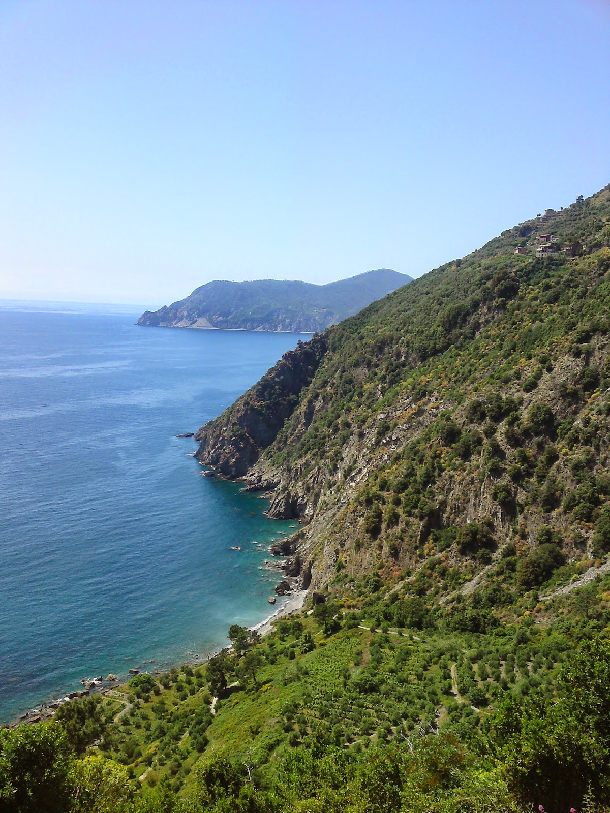 Vakantie, Cinque Terre, bloemenriviera, Ligurië, Italie: www.italiaansebloemenriviera.nl: No.1 bloemenriviera site! Bekijk het grootste (last minute) aanbod hotels, vakantiehuizen, b&b, agriturismo, appartementen, campings aan de bloemenriviera, Italië Vakantie, Cinque Terre, bloemenriviera, Ligurië, Italie: www.italiaansebloemenriviera.nl: No.1 bloemenriviera site! Bekijk het grootste (last minute) aanbod hotels, vakantiehuizen, b&b, agriturismo, appartementen, campings aan de bloemenriviera, Italië