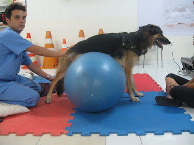 Cinesioterapia com auxilio de bola