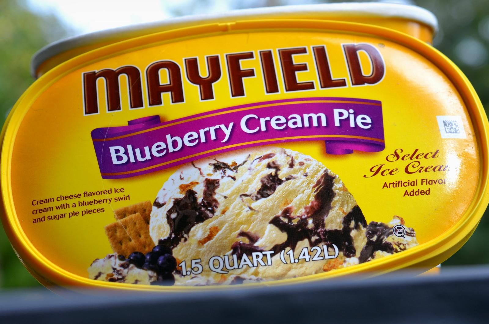 food and ice cream recipes REVIEW Mayfield Blueberry Cream Pie