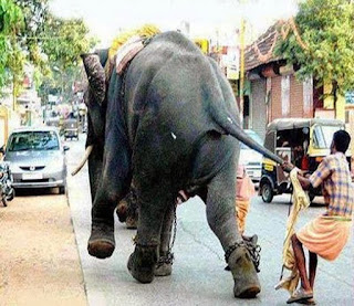 देसी लोगों कि ऐसी मजेदार तस्वीरें जिन्हें देख आप भी बोलेंगे मज़ा आ गया (Funny Images Of Indian Peoples In Hindi), Funny Images In Hindi, Latest Funny Images Of Indian Peoples, Funny Photos, Latest Funny Photos, Funny Photos Of Indian Peoples देसी लोगों कि ऐसी मजेदार तस्वीरें जिन्हें देख आप भी बोलेंगे मज़ा आ गया (Funny Images Of Indian Peoples In Hindi), Funny Images In Hindi, Latest Funny Images Of Indian Peoples, Funny Photos, Latest Funny Photos, Funny Photos Of Indian Peoples