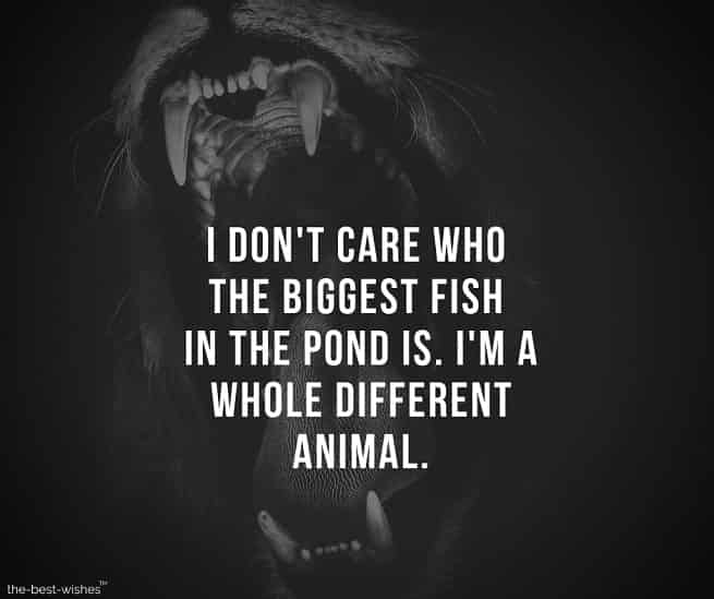 i-dont-care-who-the-biggest-fish-in-the-pond-is-i-m-a-whole-different-animal Inspirational Images on Life Quote