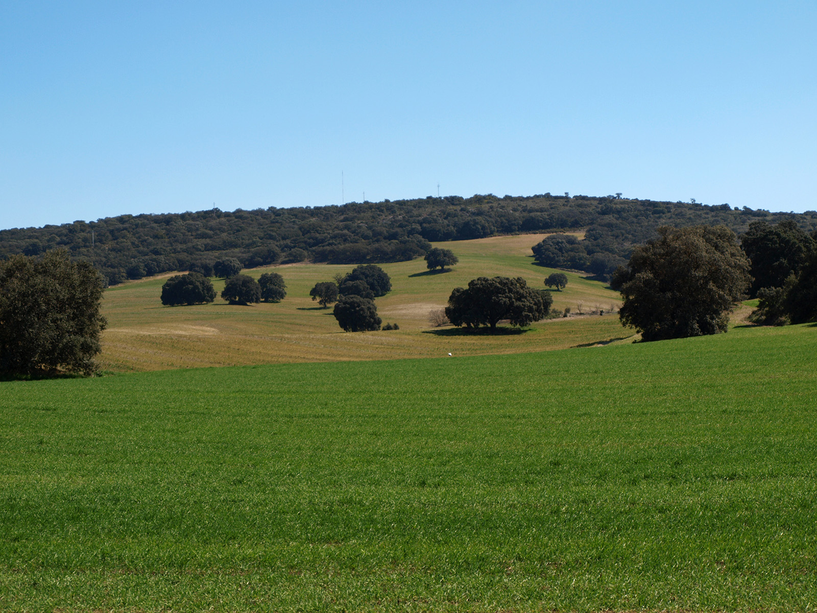 Caminando por Sierras y Calles de Andalucía: Pantano Bermejales ...