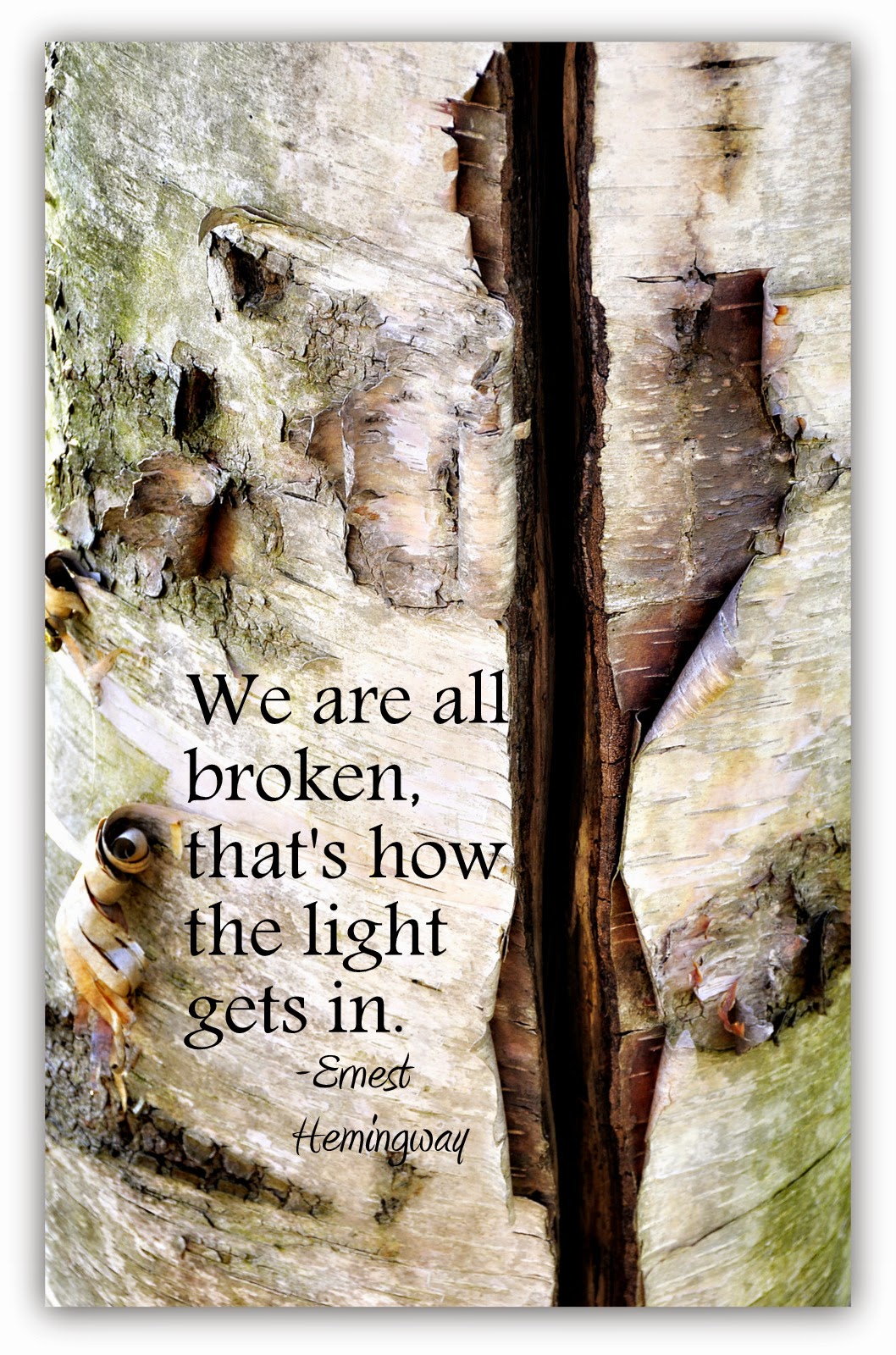 A Photographic Sage: A Thought for Today...We're all broken