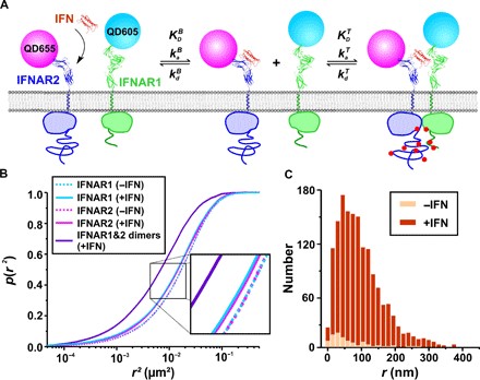 Usk Ed Event Townsville Sketchfest Cancelled Urban Sketchers