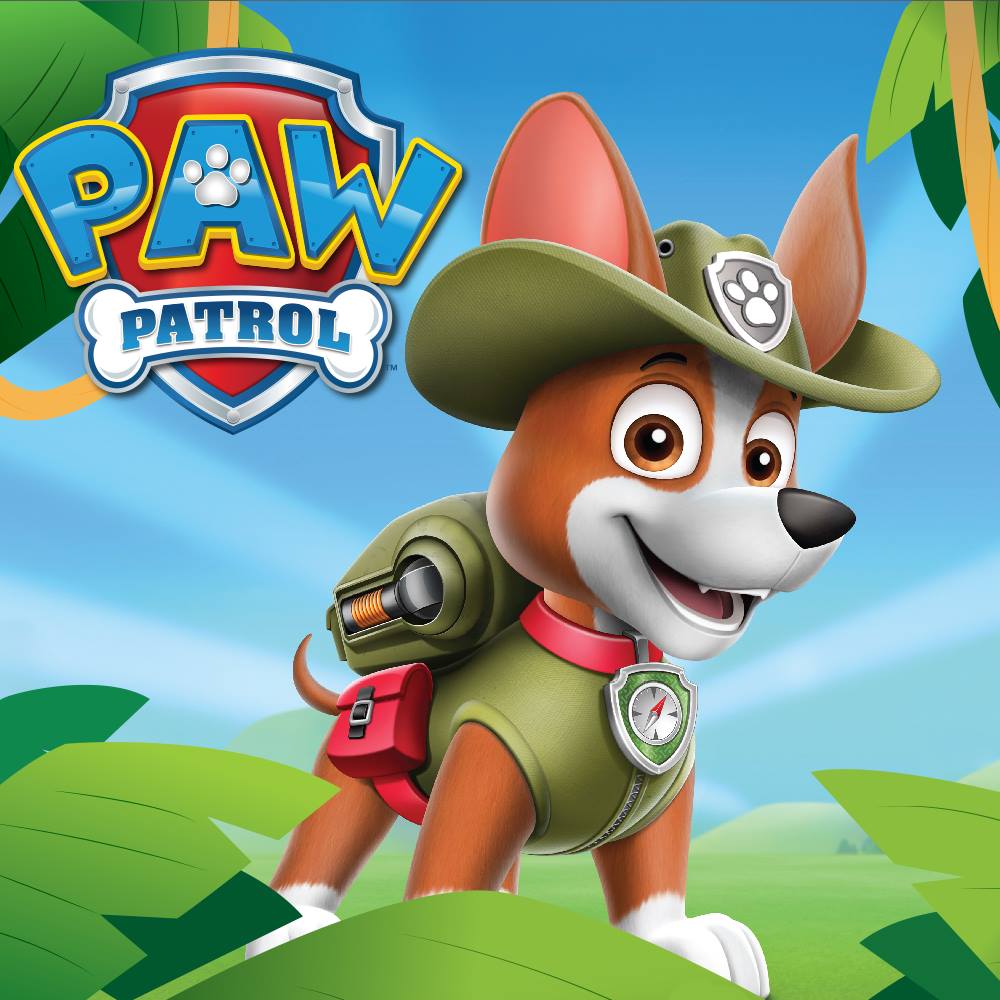 paw patrol pup tracker