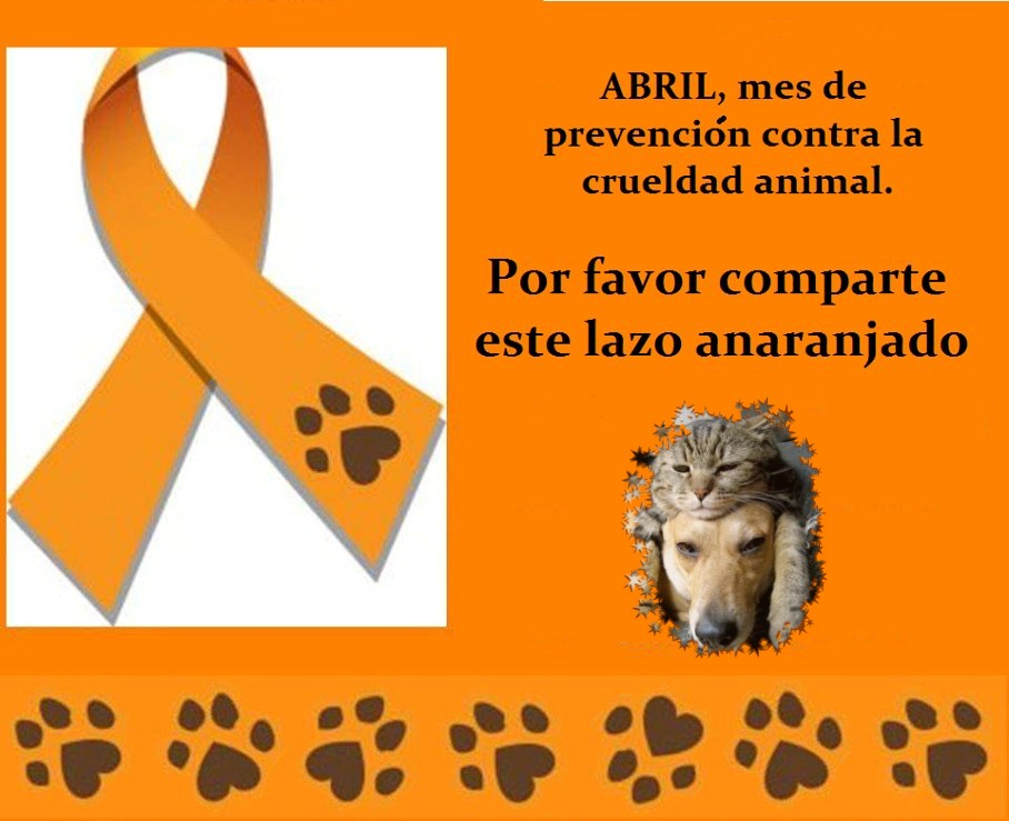 ¡¡No al maltrato ni a la crueldad de los animales!!