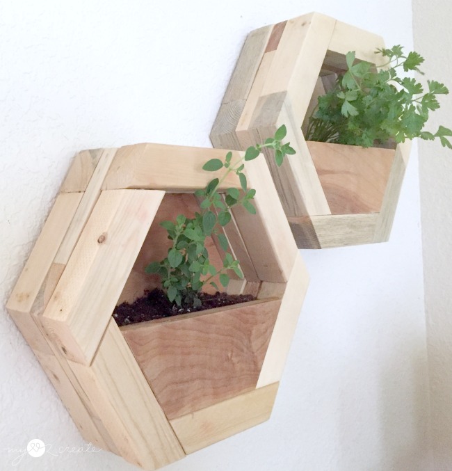 Get Diy Hexagon Planters My Love 2 Create Desktop Wallpaper Free Wallpaper Diy Hexagon Planters My Love 2 Create For Free