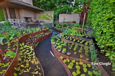 Contoh Sk Dasawisma Pkk Dunia Sosial