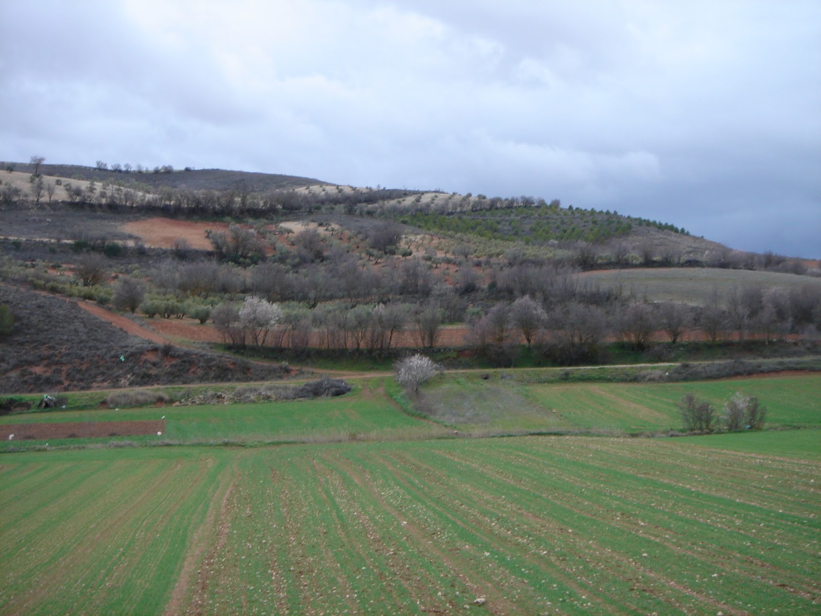 Cuenca es única pero Soria es increible Loranca del Campo