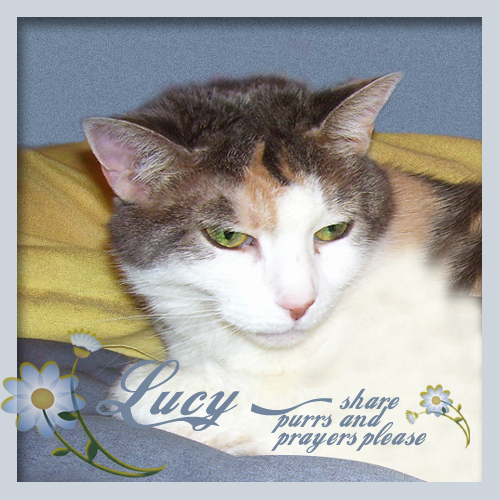 Purrs for Lucy