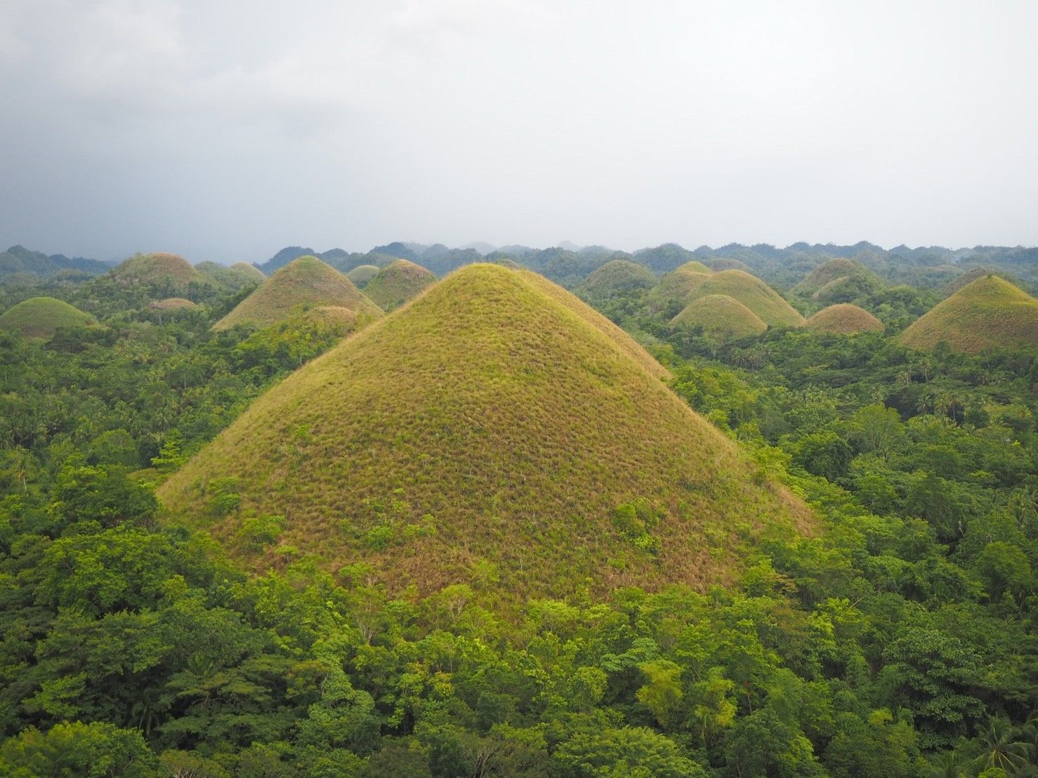 Ep.3 Chocolate Hills & Bohol Tarsier conservation area