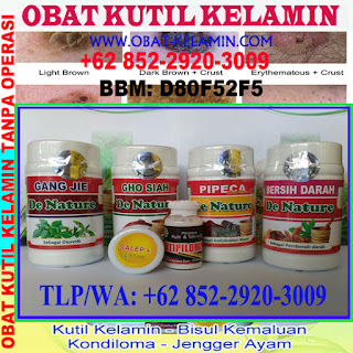 Obat Untuk Kutil Kelamin Obat Untuk Kutil Kelamin