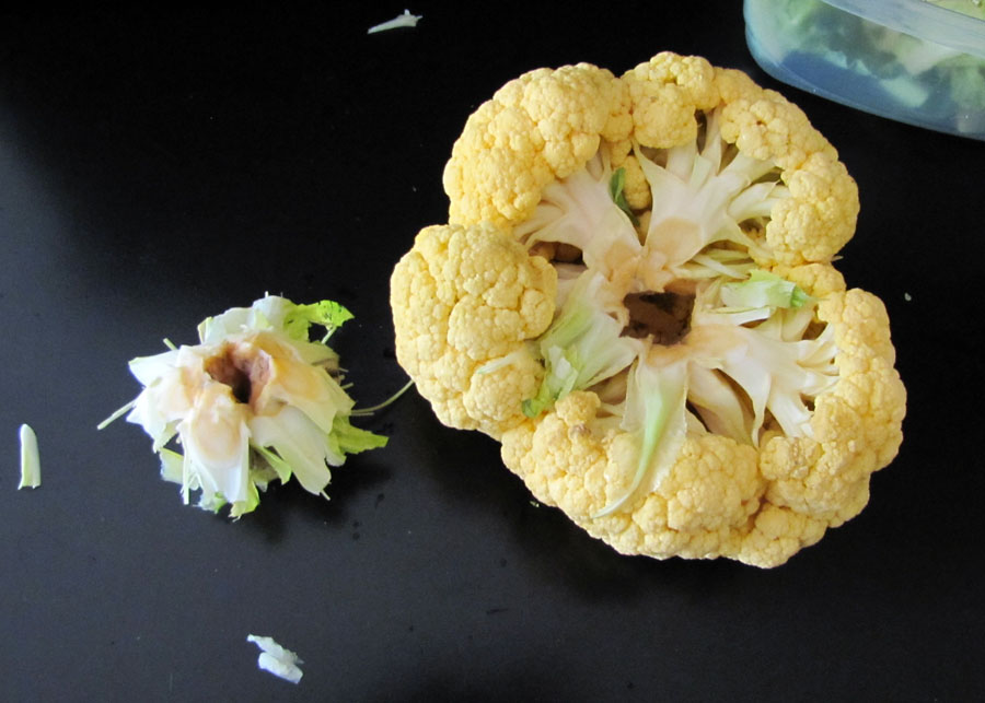 Smells Like Food in Here Nature's Reward Orange Cauliflower