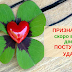 8 НЕОЖИДАННЫХ ПРИЗНАКОВ, ЧТО СКОРО В ВАШУ ДВЕРЬ ПОСТУЧИТСЯ УДАЧА