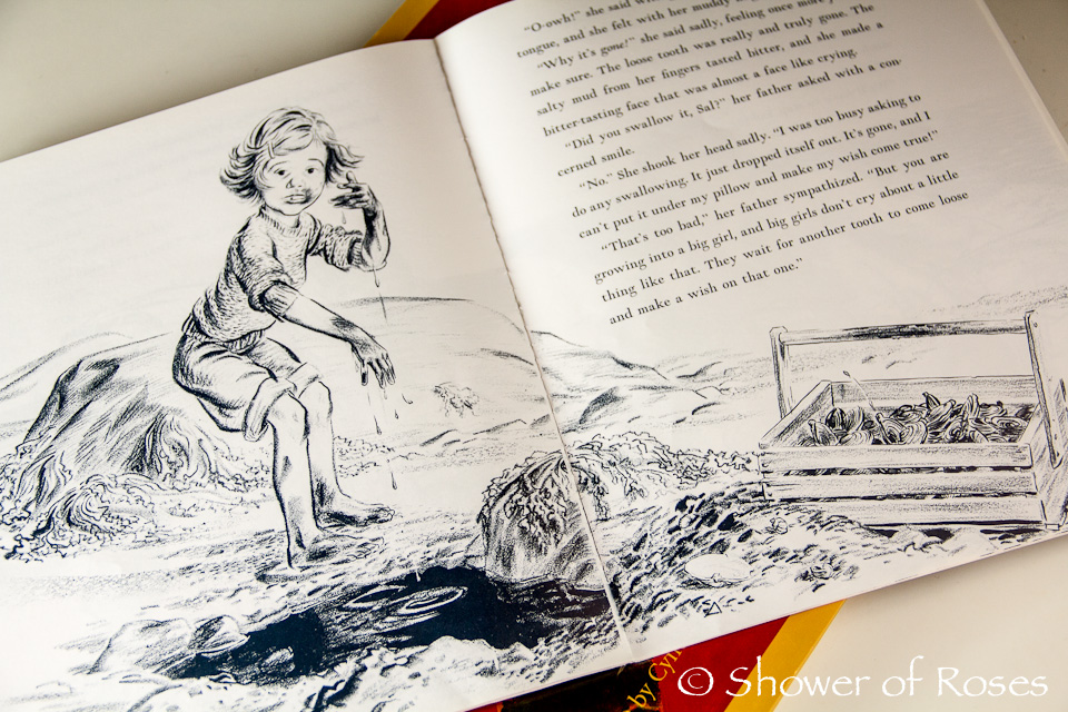 Shower Of Roses State By State Scrapbook Maine