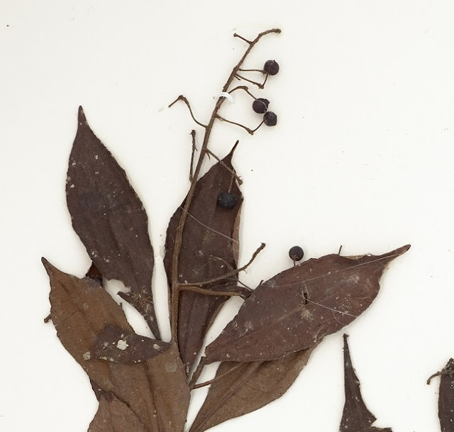 What do brackets mean in math image