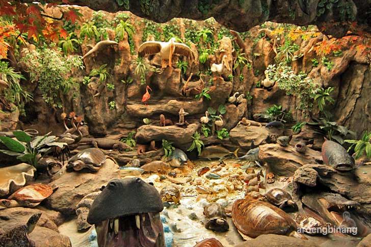 rahmat international wildlife museum gallery