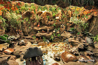 rahmat international wildlife museum