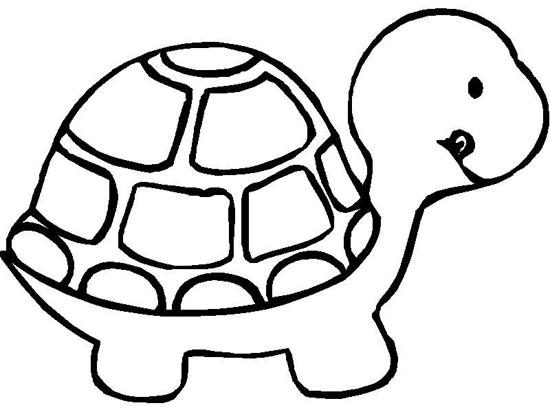 rules-of-the-jungle-printable-picture-of-a-turtle