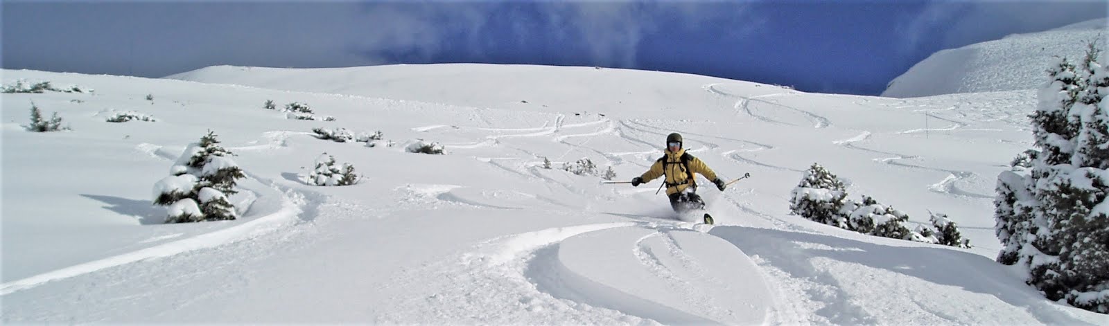 telemark pyreneen