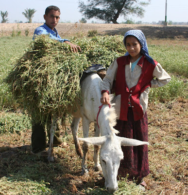 The agricultural sector is the largest employer of children worldwide, accounting for 70 percent of global child labor. 