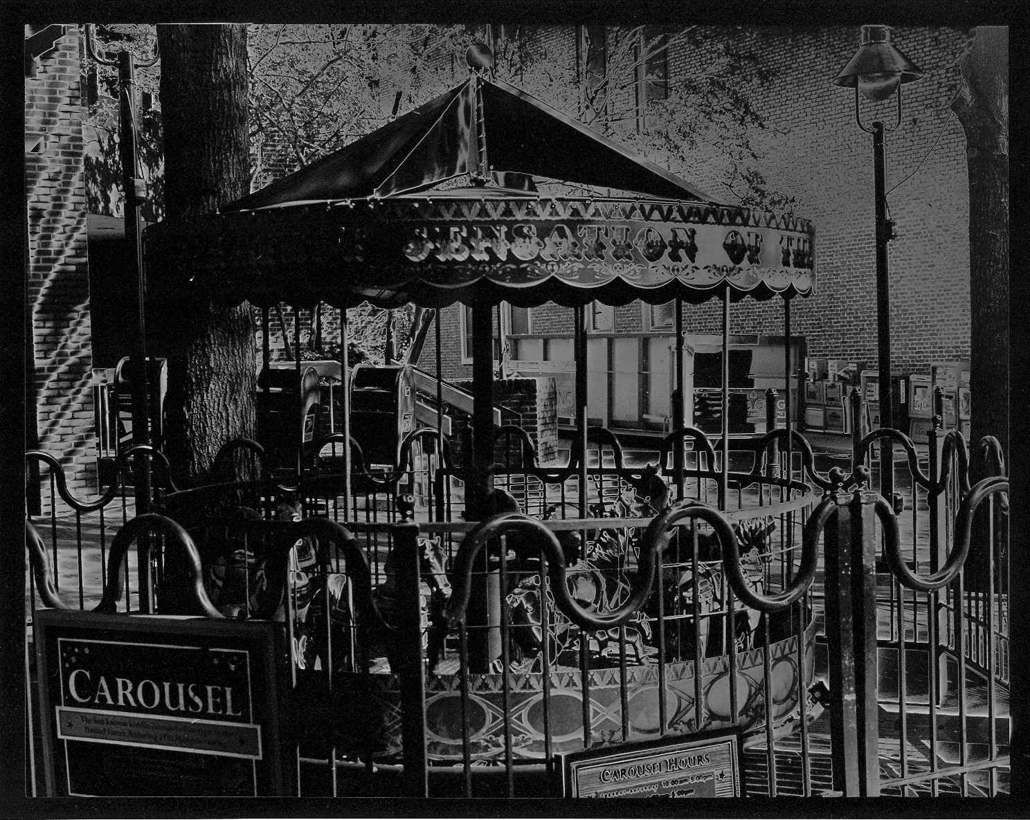 Photography: Roll 5- Solarization