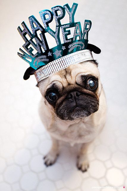 Objetivos y metas para 2015