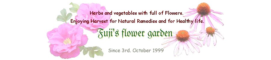Fuji's Flower Garden