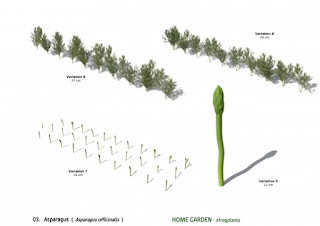 3dsMax高精度花園植物3D模型下載