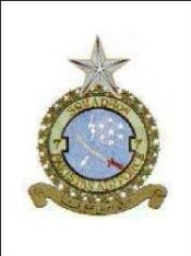 7 sqn