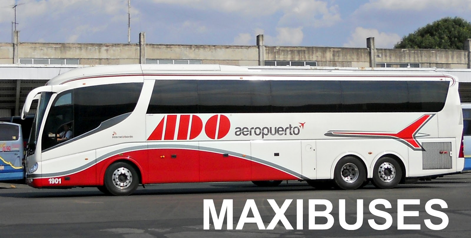MAXIBUSES AUTOBUSES DEL ORIENTE, SERVICIO AEROPUERTO ADO AEROPUERTO NUEVAS UNIDADES