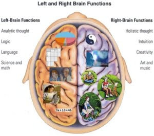 Cara Mengaktifkan Otak Tengah