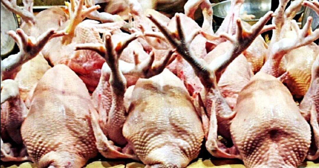 Doa Menyembelih Ayam - ABANA ONLINE