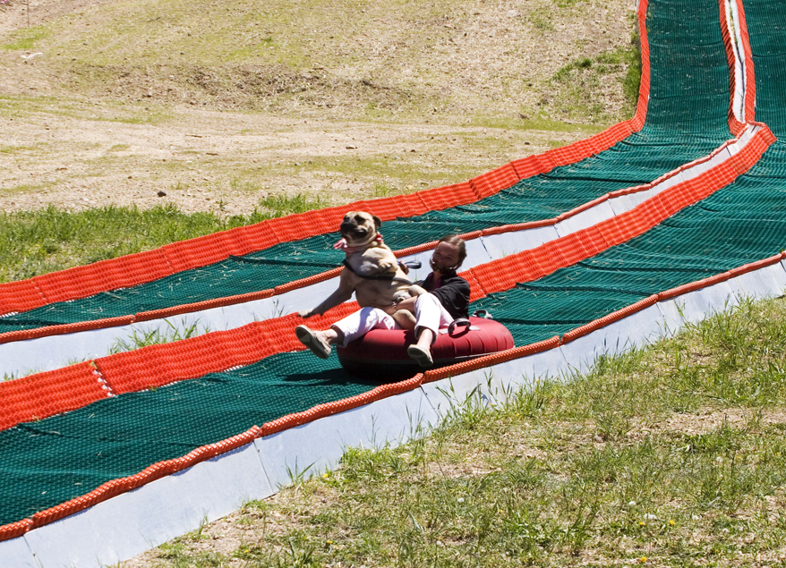 Travelin' Jack's Dog Blog SUMMER TUBING.....FOR DOGS OR NOT FOR DOGS