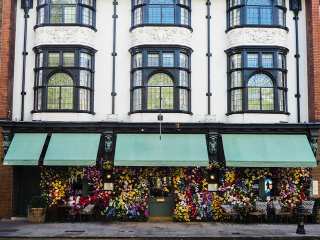 Chelsea in Bloom Chelsea in Bloom