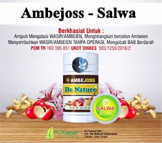 Obat Herbal Wasir