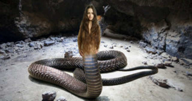 Женщина змея видео. Женщина превращается в змею.